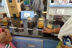 IMG-20231122-WA0008