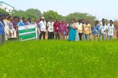 WhatsApp-Image-2023-01-10-at-11.13.01-AM