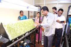 Exposure-to-new-technology-cultivation-on-thermocol