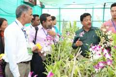 Visit-to-Orchid-cultivation-in-green-houses-