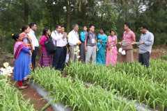 Visit-to-hi-tech-horticulture