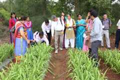 farmers-on-feild