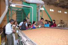 seed-grading-unit