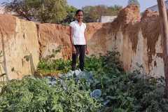 1_Progress-of-Kitchen-Gardens-Phase-II-3