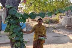 Kitchen-gardens-phase-II-109