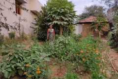 Progress-of-Kitchen-Gardens-–-Phase-II-86
