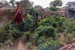 Progress-of-Kitchen-Gardens-–-Phase-II91