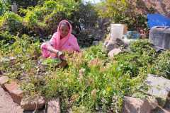 Progress-of-Kitchen-Gardens-Phase-II-31