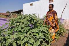 Progress-of-Kitchen-Gardens-Phase-II-32