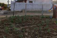 Progress-of-Kitchen-Gardens-Phase-II-46