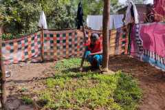 Progress-of-Kitchen-Gardens-Phase-II-7