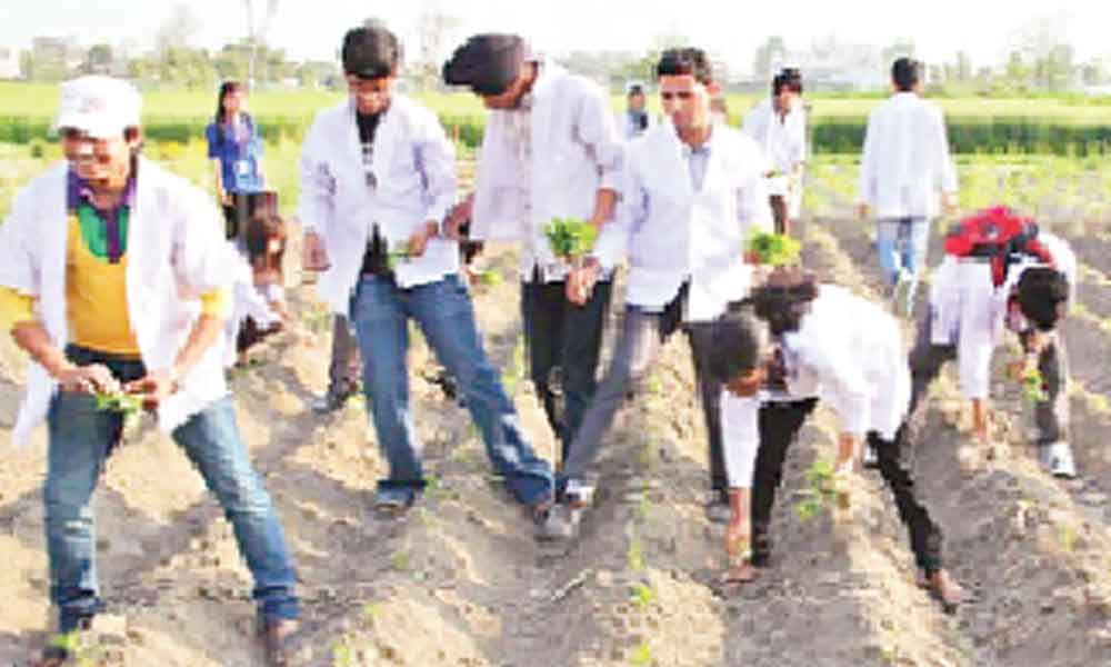 CSFD Facilitates Rural Youth To Pursue Agriculture As A Profitable Profession