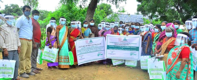 CSFD Supported Kitchen gardens