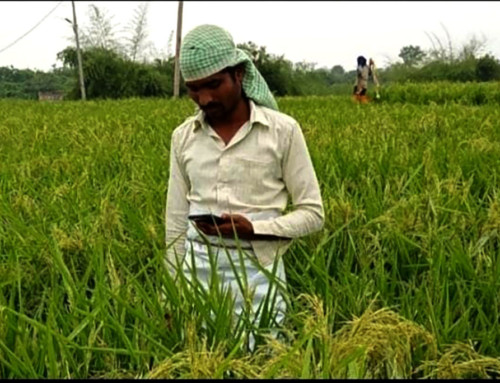 CSFD brings reflections from Panyal and Badampet villages  on Annapurna Krishi Prasar Seva (AKPS)