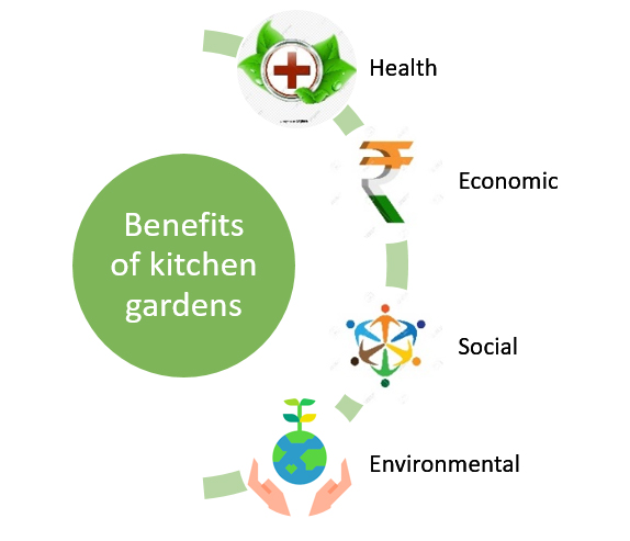 Benefits of kitchen gardens