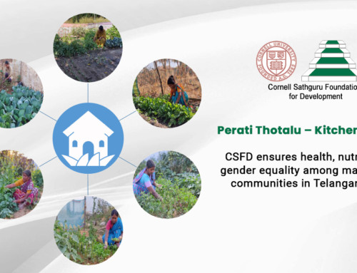 Perati Thotalu – Kitchen Gardens