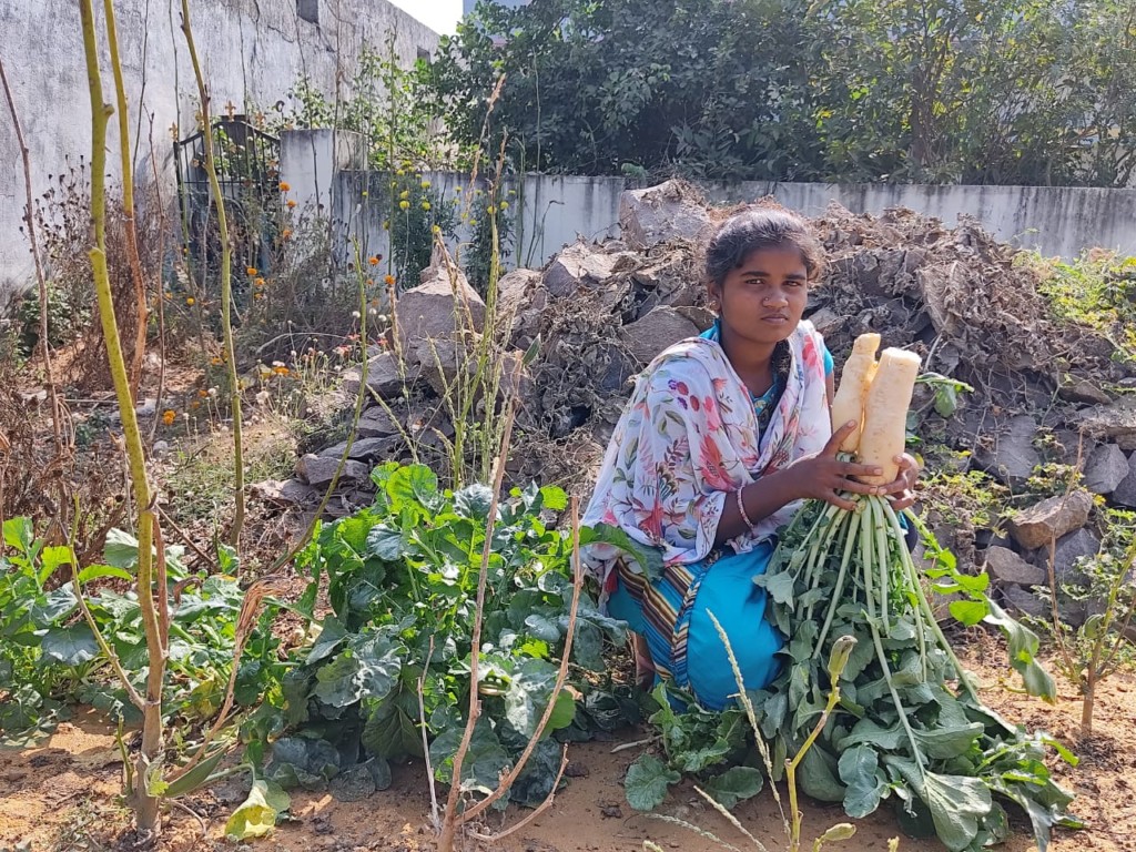 Kitchen Gardens An initiative by CSFD