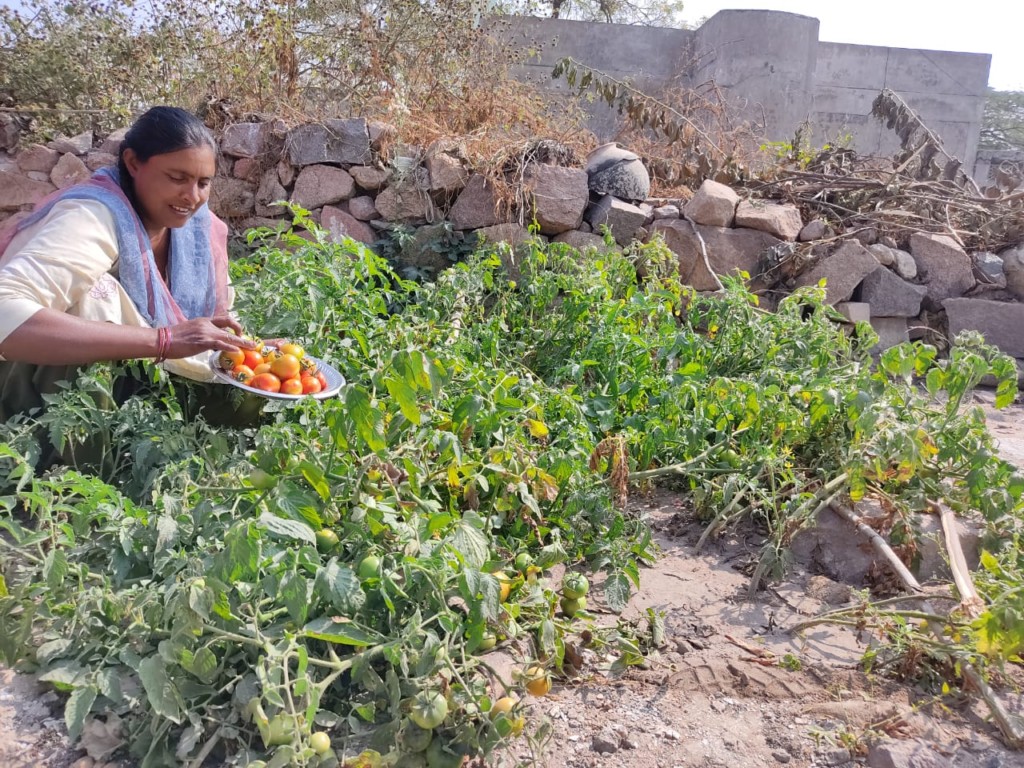 Kitchen Gardens An initiative by CSFD