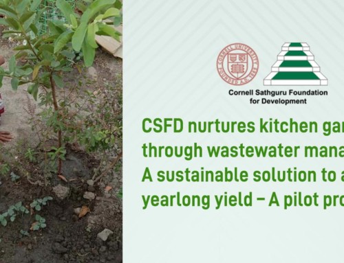 CSFD nurtures kitchen gardens through wastewater management
