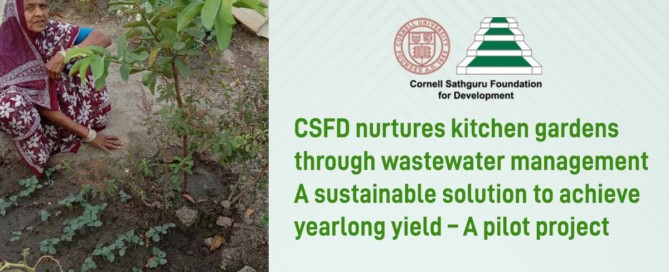 CSFD-nurtures-kitchen-gardens-through-wastewater-management-A-pilot-project