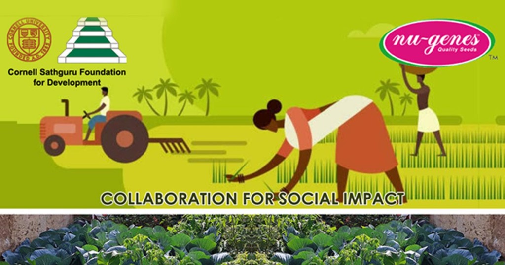 Pathways towards sustainable social development – New Beginnings