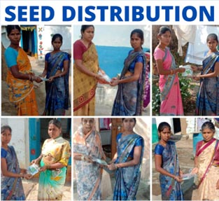seed-distribution