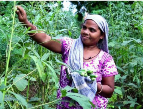 Home Gardens for Food and Nutritional Security and Enhanced Livelihoods in Developing Countries