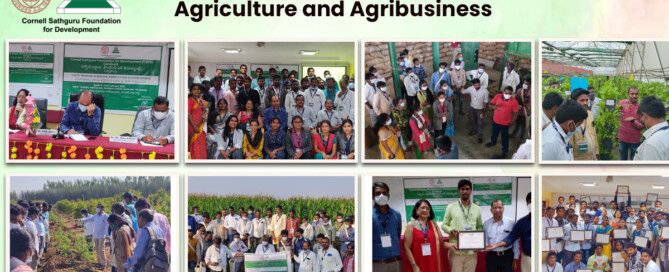 modern agriculture and agribusiness