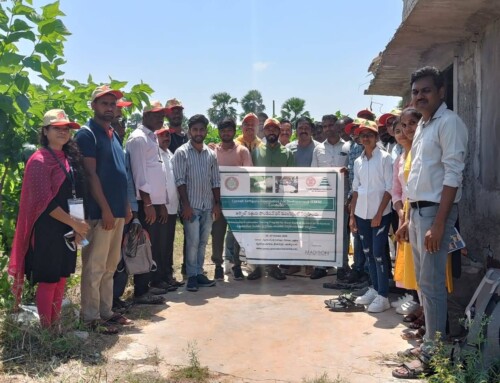 Sericulture Training Program